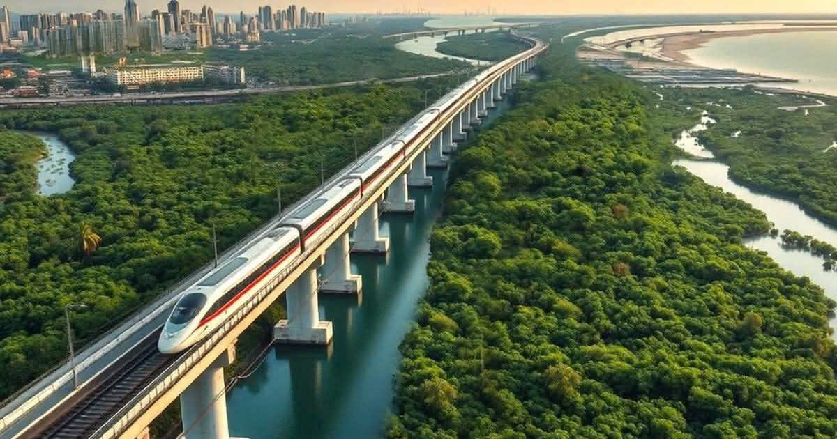 Đường sắt tốc độ cao qua rừng ngập mặn